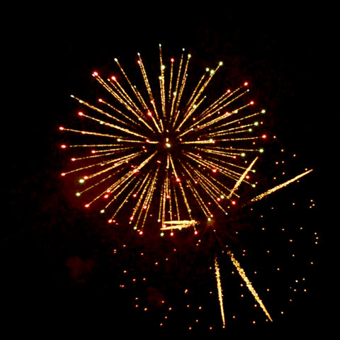 Premium & Professional Consumer Edition