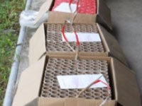 X02 Dragon's Symphony of Lights Package 2